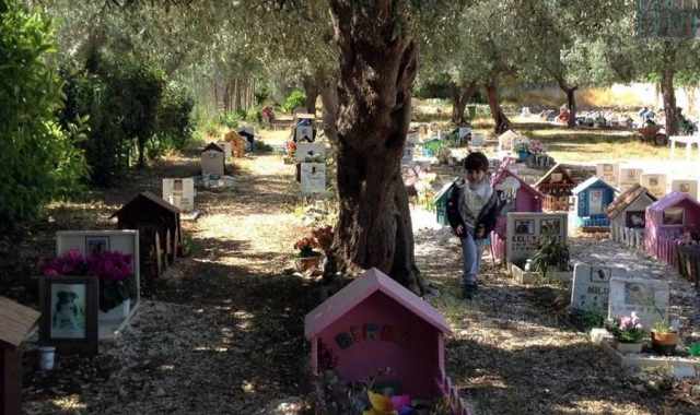 Acquaviva, alla scoperta del "Parco degli affetti": il colorato cimitero degli animali